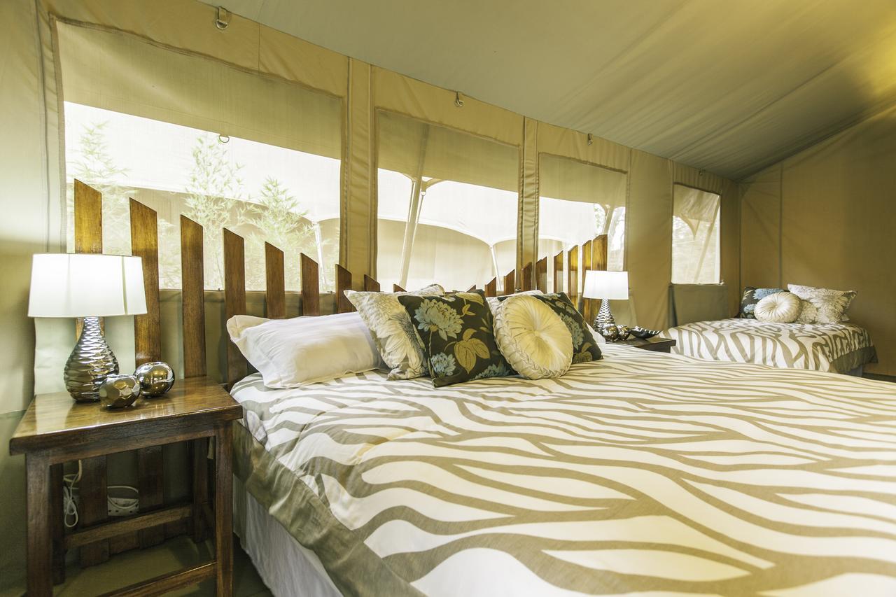 Wildebeest Eco Camp Hotel Nairobi Habitación foto